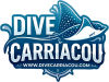 dive carriacou 